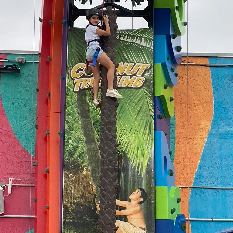 ATTRACTIONS 4 Rock climbing at Fun Dimension Miami