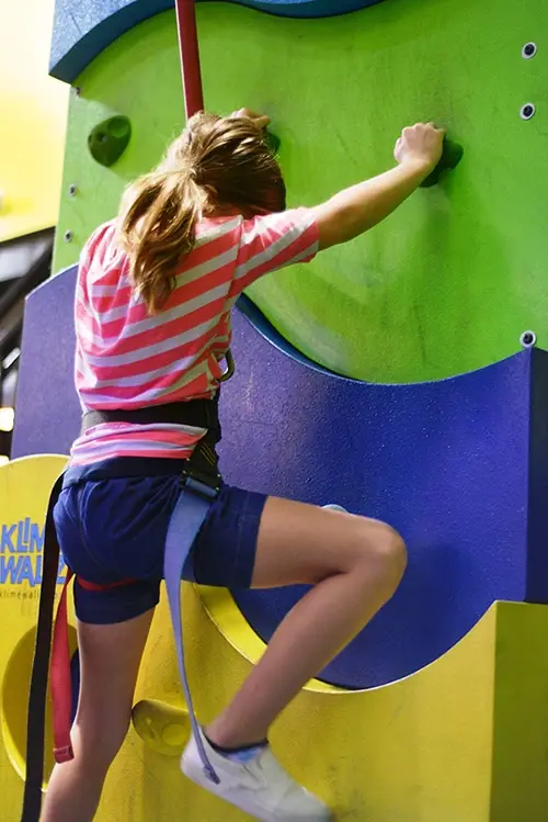 Climbing rock in fundimesion