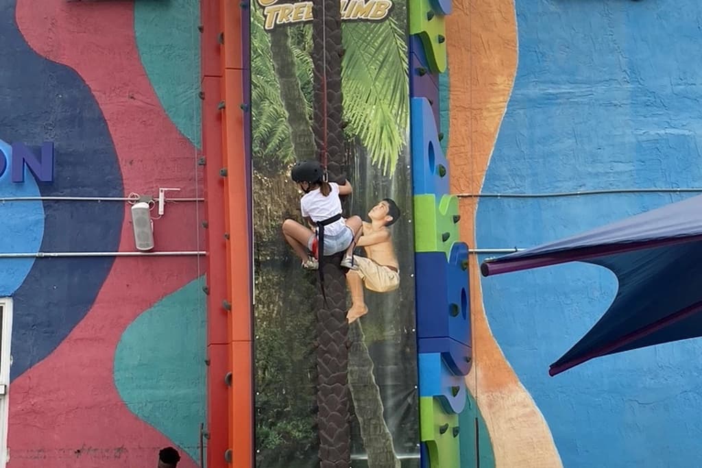 VIRTUAL REALITY 17 Rock Climbing